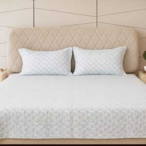 White And Sky Blue Quilted Bedcover with Floral Print